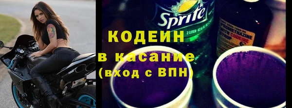 прущие грибы Пестово