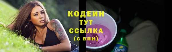 прущие грибы Пестово