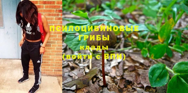 прущие грибы Пестово