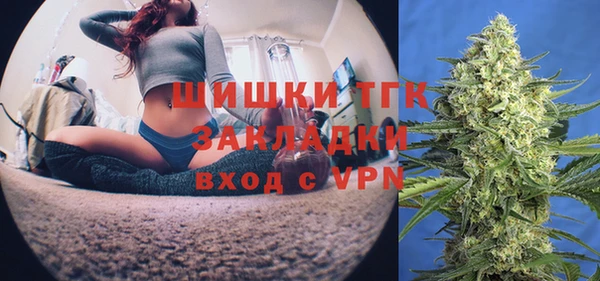 круглые Пересвет