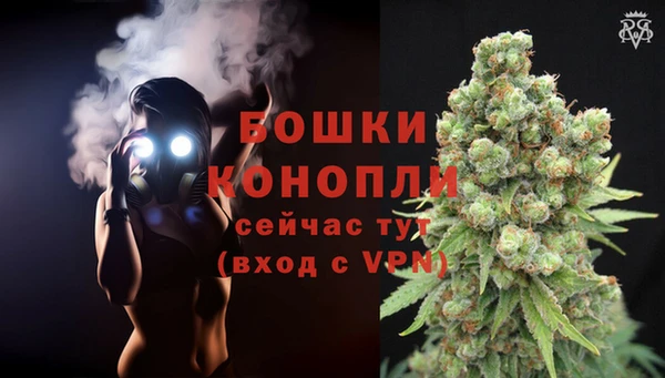 трава Осташков