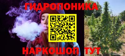 спайс Пугачёв
