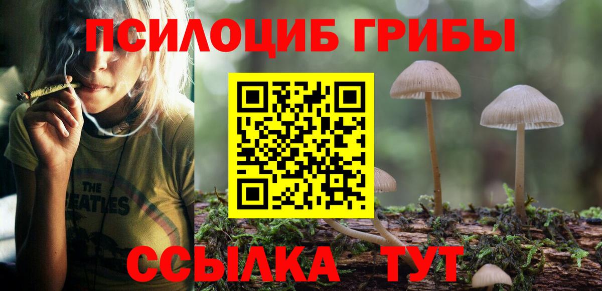 Галлюциногенные грибы мицелий  Вход с VPN  Нерюнгри 
